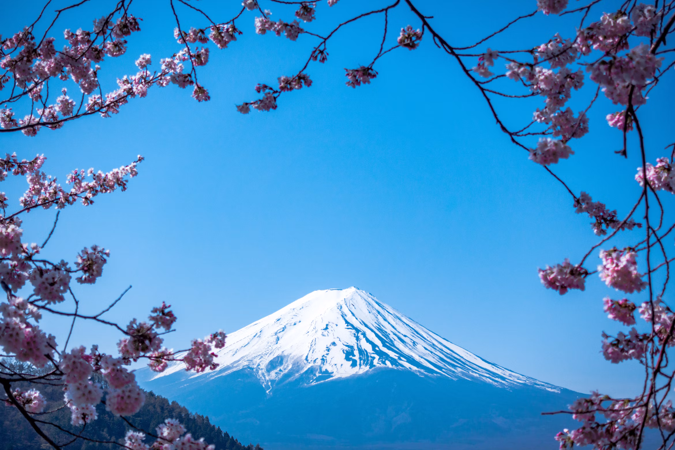 Mt Fuji Japan at dawn